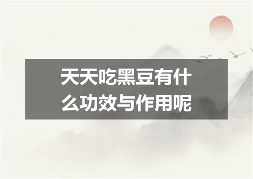 天天吃黑豆有什么功效与作用呢