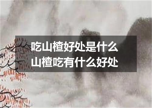 吃山楂好处是什么 山楂吃有什么好处