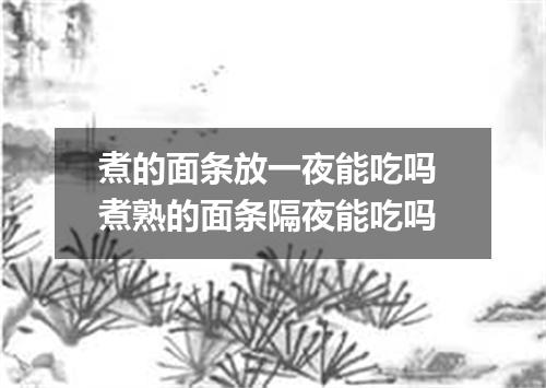 煮的面条放一夜能吃吗 煮熟的面条隔夜能吃吗