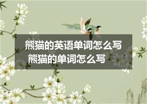 熊猫的英语单词怎么写 熊猫的单词怎么写