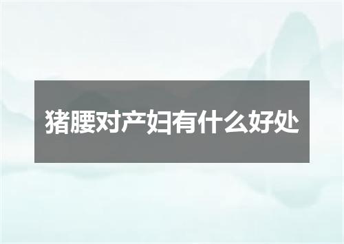 猪腰对产妇有什么好处