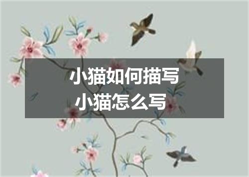 小猫如何描写 小猫怎么写