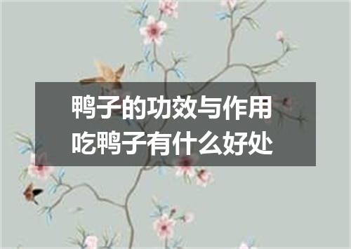 鸭子的功效与作用 吃鸭子有什么好处