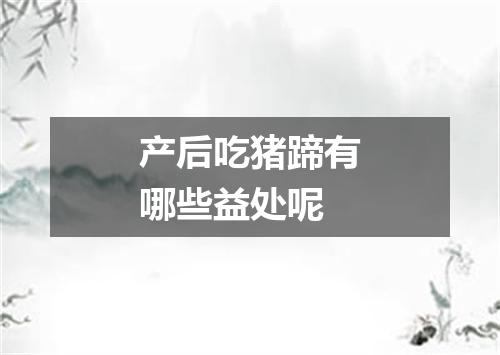 产后吃猪蹄有哪些益处呢