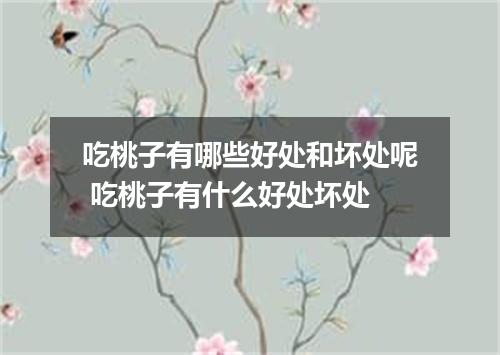 吃桃子有哪些好处和坏处呢 吃桃子有什么好处坏处