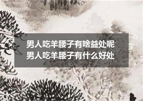 男人吃羊腰子有啥益处呢 男人吃羊腰子有什么好处