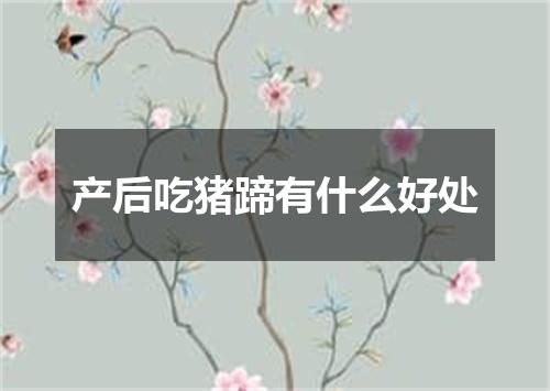 产后吃猪蹄有什么好处