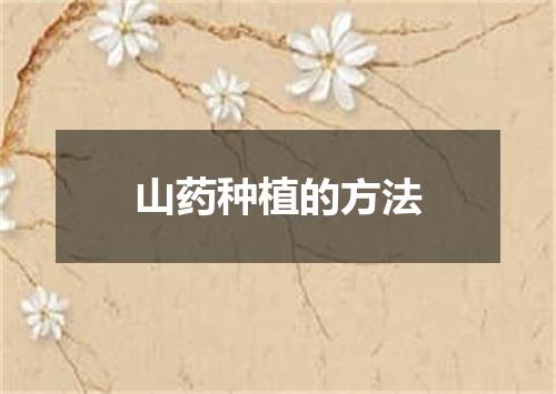 山药种植的方法