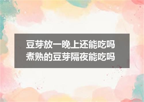 豆芽放一晚上还能吃吗 煮熟的豆芽隔夜能吃吗