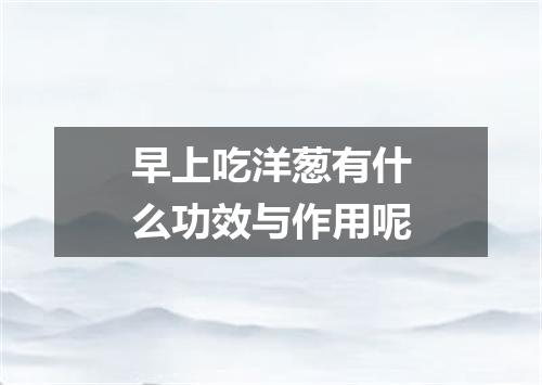 早上吃洋葱有什么功效与作用呢