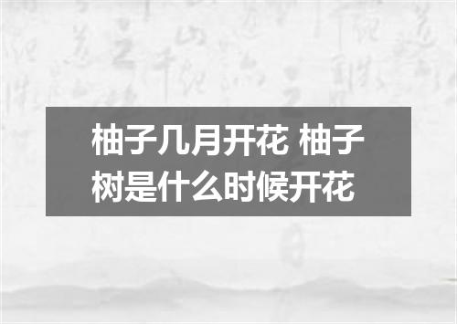 柚子几月开花 柚子树是什么时候开花