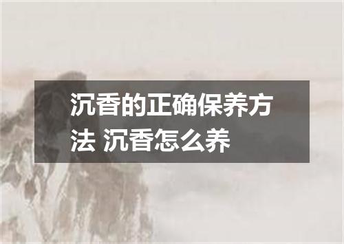 沉香的正确保养方法 沉香怎么养