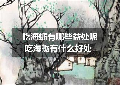 吃海蛎有哪些益处呢 吃海蛎有什么好处