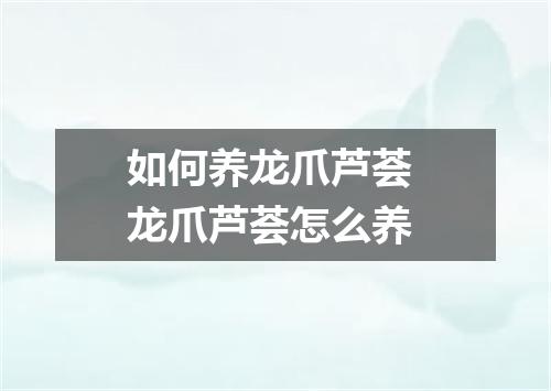 如何养龙爪芦荟 龙爪芦荟怎么养