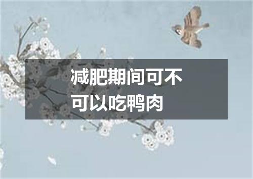 减肥期间可不可以吃鸭肉