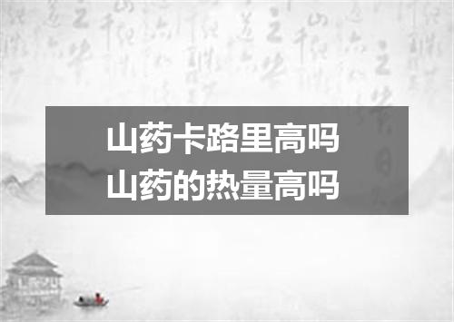 山药卡路里高吗 山药的热量高吗