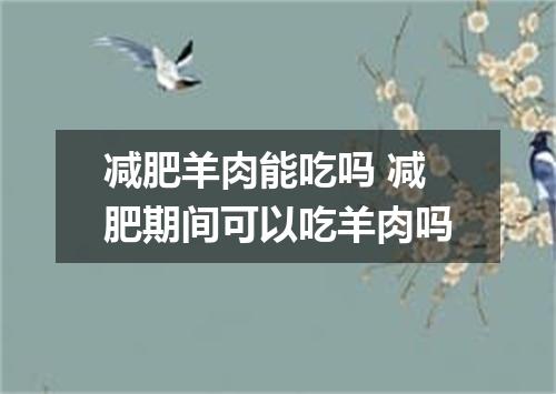 减肥羊肉能吃吗 减肥期间可以吃羊肉吗