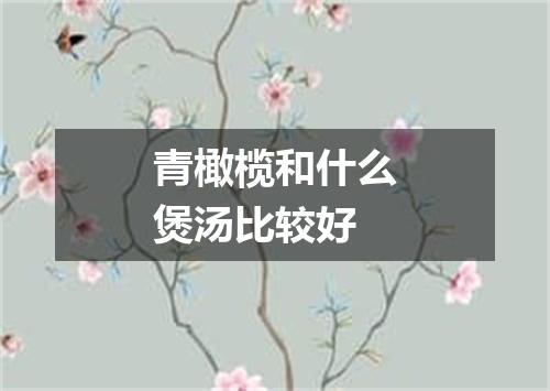 青橄榄和什么煲汤比较好