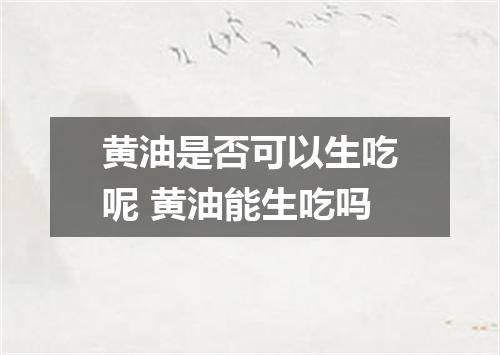 黄油是否可以生吃呢 黄油能生吃吗