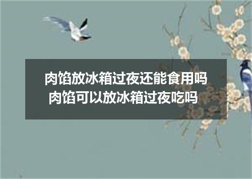 肉馅放冰箱过夜还能食用吗 肉馅可以放冰箱过夜吃吗