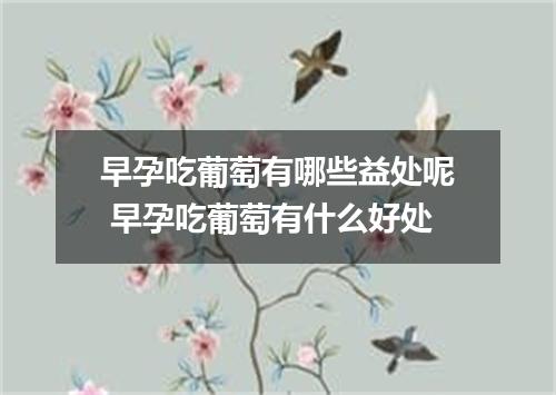 早孕吃葡萄有哪些益处呢 早孕吃葡萄有什么好处