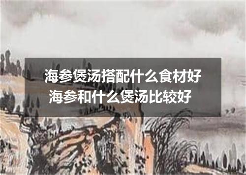 海参煲汤搭配什么食材好 海参和什么煲汤比较好