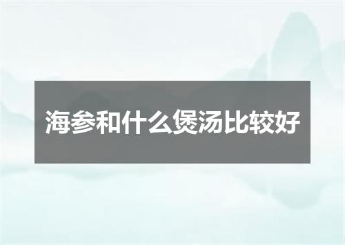 海参和什么煲汤比较好