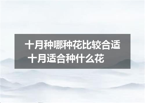 十月种哪种花比较合适 十月适合种什么花