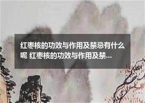 红枣核的功效与作用及禁忌有什么呢 红枣核的功效与作用及禁忌