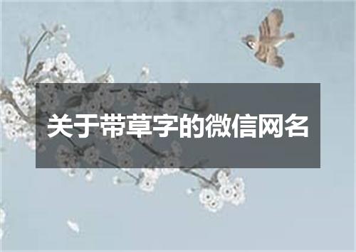 关于带草字的微信网名