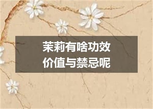 茉莉有啥功效价值与禁忌呢