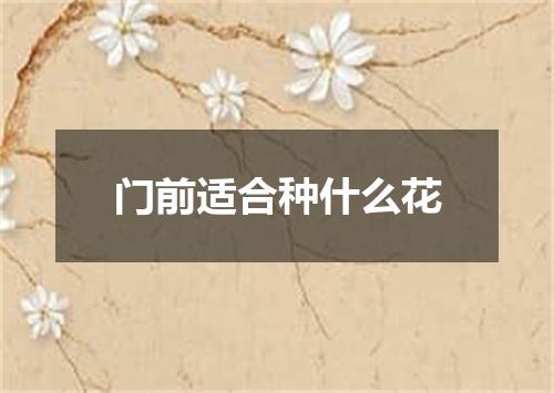 门前适合种什么花