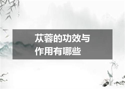 苁蓉的功效与作用有哪些