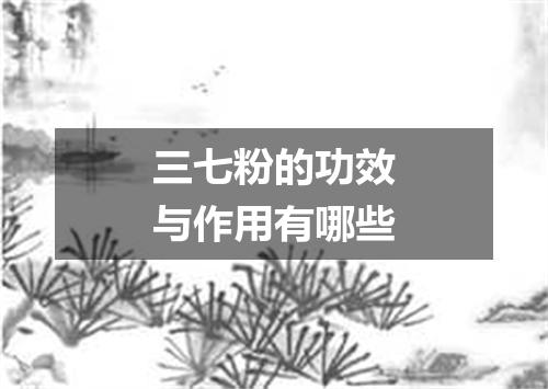 三七粉的功效与作用有哪些