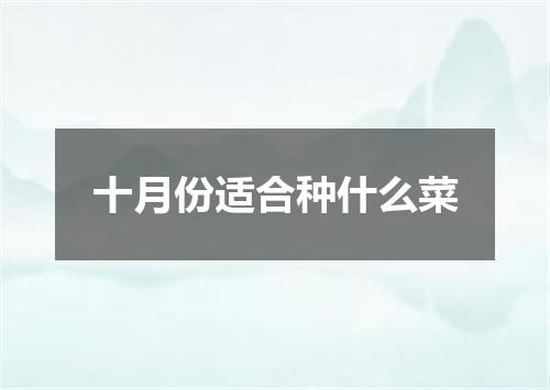 十月份适合种什么菜