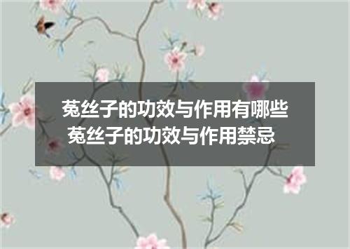 菟丝子的功效与作用有哪些 菟丝子的功效与作用禁忌