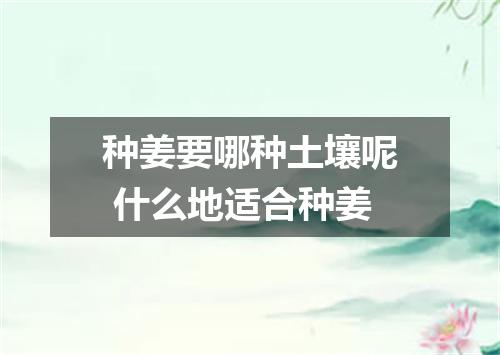 种姜要哪种土壤呢 什么地适合种姜