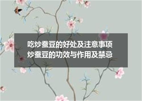 吃炒蚕豆的好处及注意事项 炒蚕豆的功效与作用及禁忌