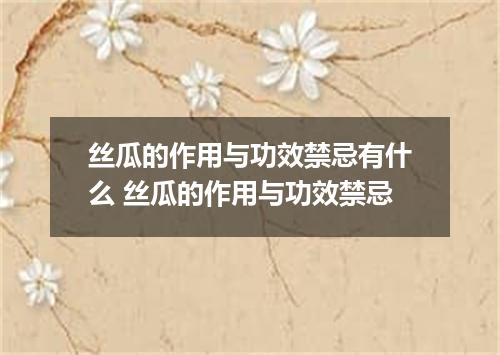 丝瓜的作用与功效禁忌有什么 丝瓜的作用与功效禁忌