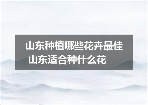 山东种植哪些花卉最佳 山东适合种什么花