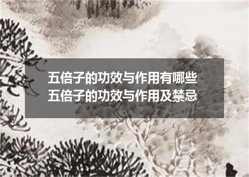 五倍子的功效与作用有哪些 五倍子的功效与作用及禁忌