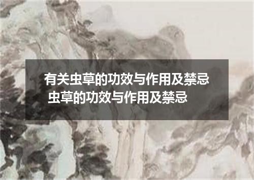 有关虫草的功效与作用及禁忌 虫草的功效与作用及禁忌