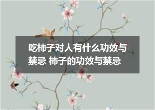 吃柿子对人有什么功效与禁忌 柿子的功效与禁忌