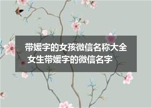带媛字的女孩微信名称大全 女生带媛字的微信名字