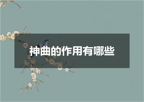神曲的作用有哪些