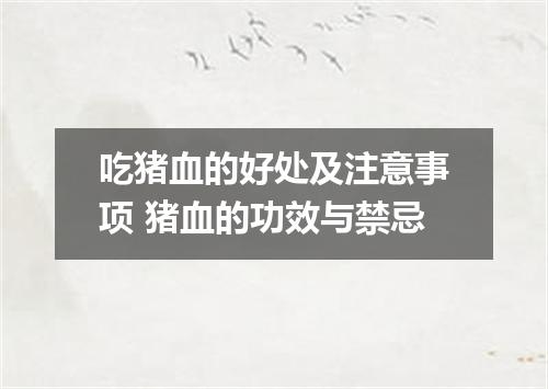 吃猪血的好处及注意事项 猪血的功效与禁忌