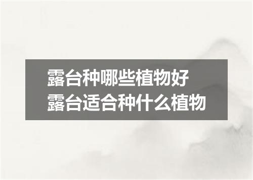 露台种哪些植物好 露台适合种什么植物