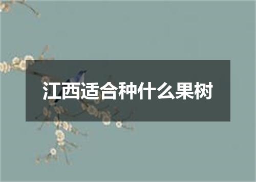 江西适合种什么果树