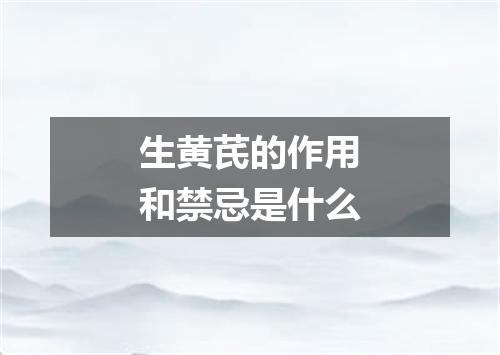 生黄芪的作用和禁忌是什么