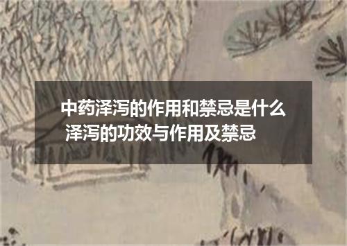 中药泽泻的作用和禁忌是什么 泽泻的功效与作用及禁忌